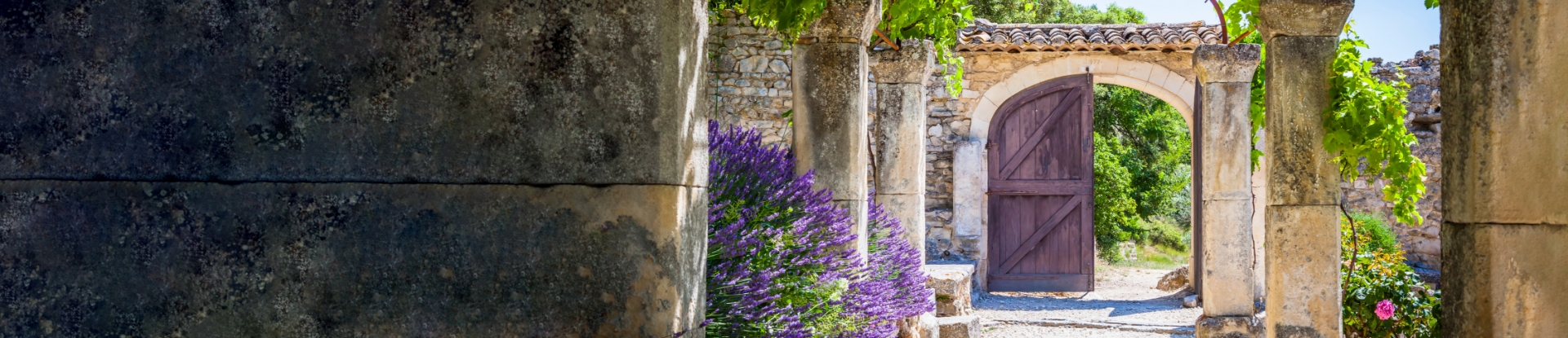 Grasse | Candle Fragrance Supply