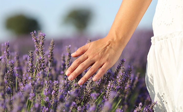 An Introduction to Essential Oils for Candles