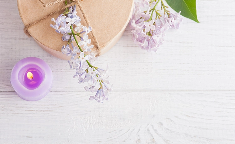 Predicting Spring Candle Trends for 2024