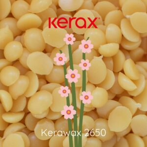 image du produit: Candle Wax <span>Candelilla wax</span>