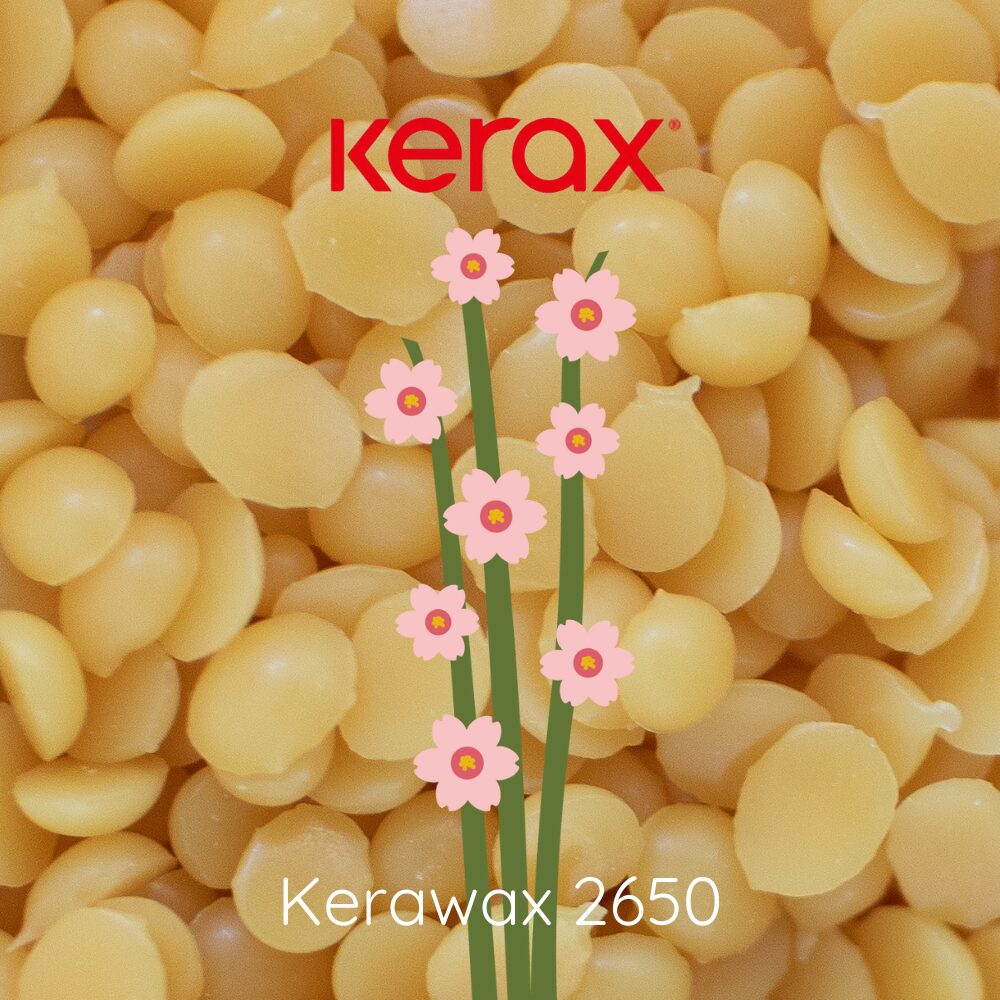 Candelilla wax | Candle Fragrance Supply