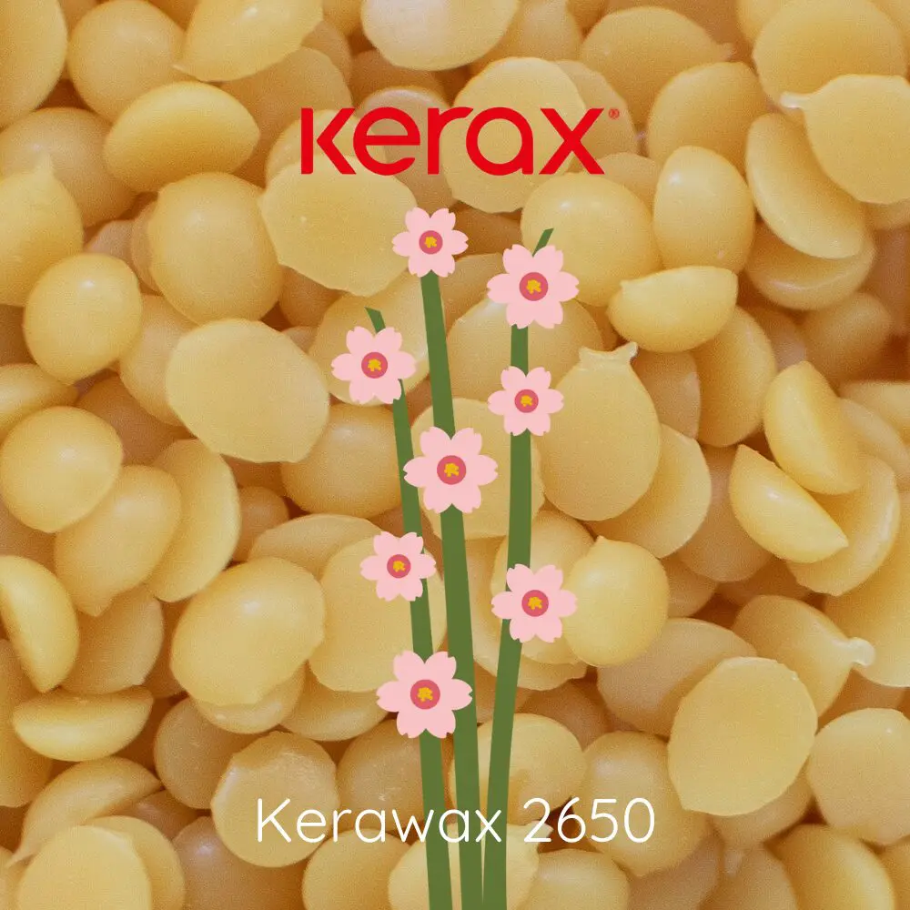 Candelilla wax | Candle Fragrance Supply