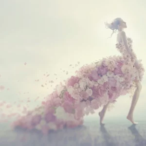 image du produit: Fragrance Oil <span>A thousand dreams</span>