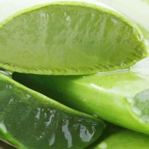 image du produit: Fragrance Oil <span>Aloe vera</span>