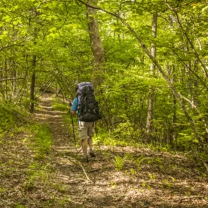 image du produit: Fragrance Oil <span>Backwoods hikes</span>