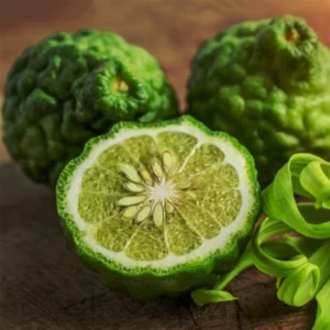 image du produit: Fragrance Oil <span>Bergamot</span>
