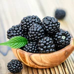 image du produit: Fragrance Oil <span>Bramble berry</span>