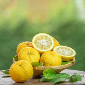 image du produit: Fragrance Oil <span>Yuzu</span>